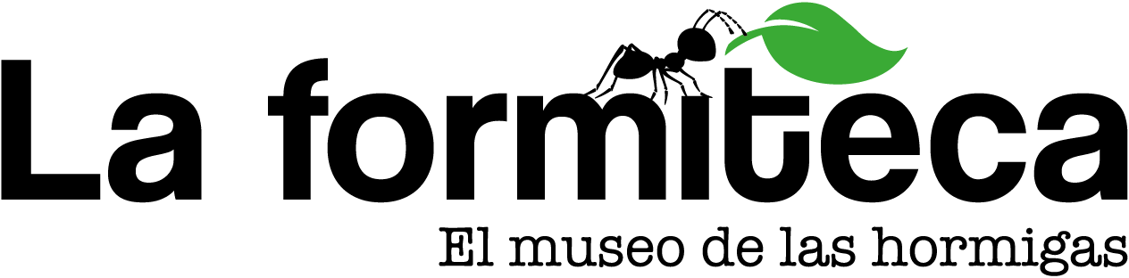 Logo de Formiteca